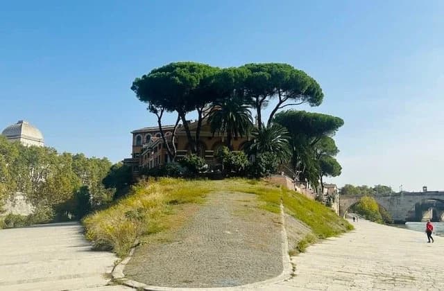 Pinus Pinea on Isola Tiberina
