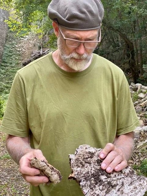Cork oak bark